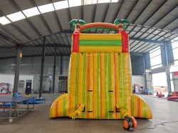 ME647e35f77ae68912e76eca751d134ca6 1750965503 1 Paradise Palms Waterslide