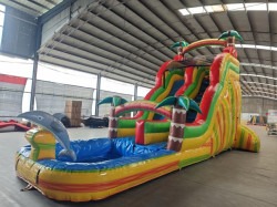 ME662f1f132335662b19d58336cb8a7824 1750965503 1 Paradise Palms Waterslide
